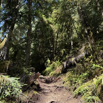 Mount Storm King - Hiking Near Me - Port Angeles, Washington Mount Storm King - Hiking Near Me - Port Angeles, Washington