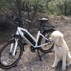 Sleeping Bear Electric Bikes - Santa Fe - Magnum 500w 46amp. My dog wonders will I ever walk her again. Yes of course.