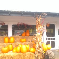 Koan's Orchard - Koan's Orchard...