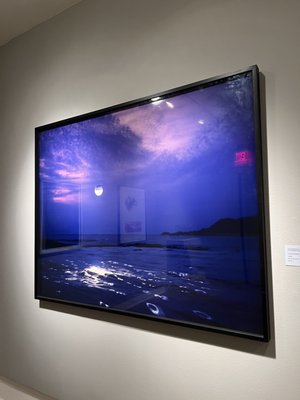 Rollins Museum of Art by null