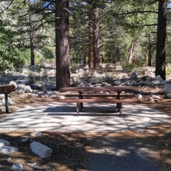 Shingle Mill Flat Picnic Area - Picnic Tables