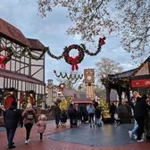 Can You Bring a Backpack to Busch Gardens: Ultimate Packing Guide