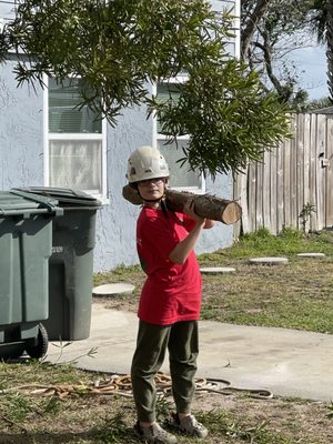 A Limb Out Tree Experts