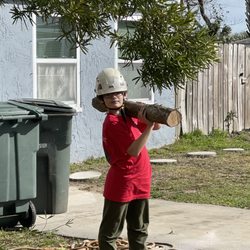 A Limb Out Tree Experts - Our little future foreman helping daddy