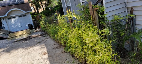 Replacing an old wooden fence with New! - This is a wooden fencing project that was old and falling down. The photos show the progression from beginning tear out stage to the end result - a beautiful privacy fence that the customer is happy to look at when they pull into their driveway. Call me to schedule your project today!