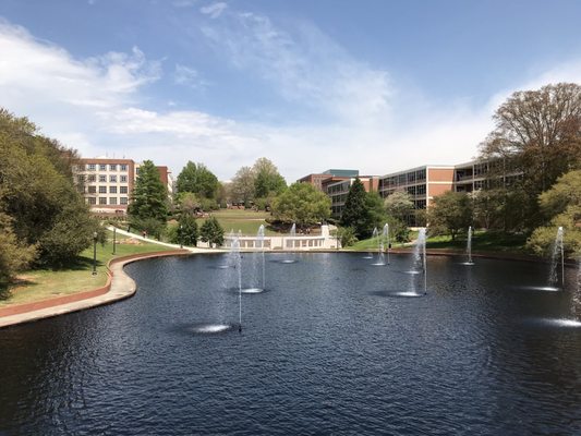 Clemson University by null