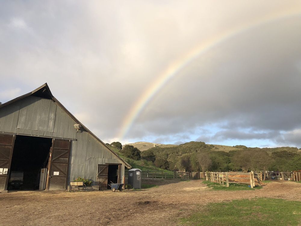 VISTA NADURA HORSE STABLES Updated August 2024 20 Photos 8767