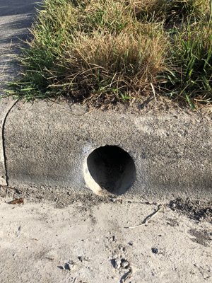 Outdoor Drainage Solutions Logo