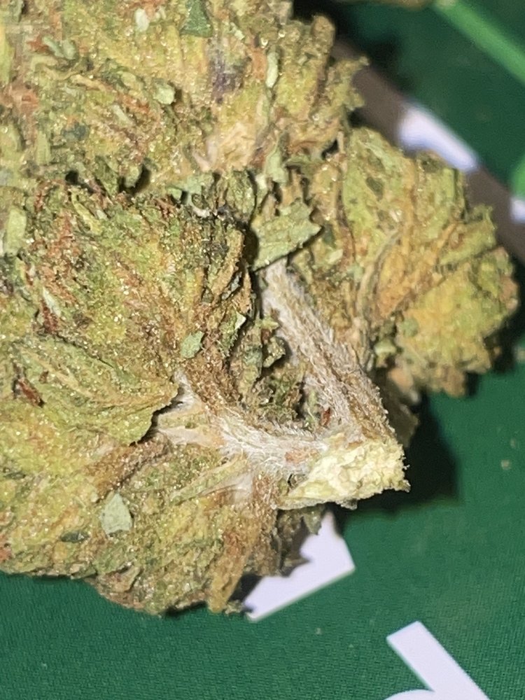 THC RECREATION STATION Updated October 2024 17 Reviews 1295