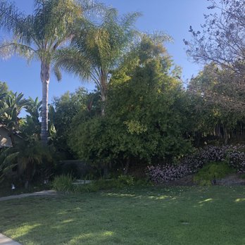 Ezra Tree Service - Tree Services Near Me