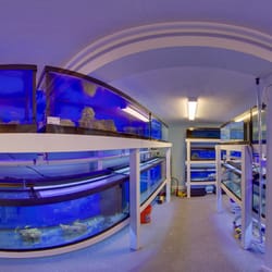 3000+ gallon showroom
