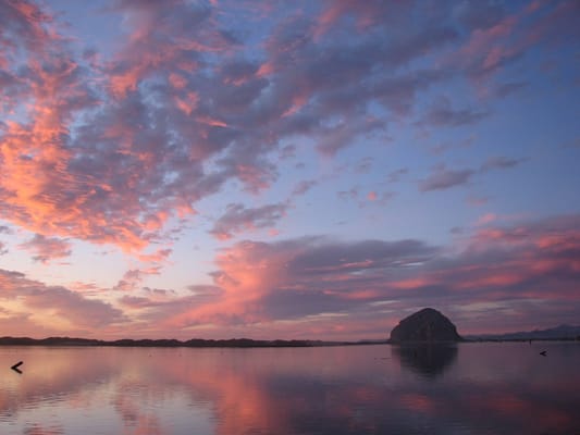 Morro Bay State Park by null