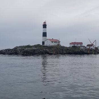 SpringTide Whale Watching & Eco Tours - Whale Watching Tours Near Me - Victoria, British Columbia SpringTide Whale Watching & Eco Tours - Whale Watching Tours Near Me - Victoria, British Columbia