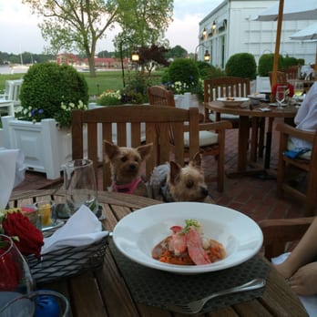 Stars - Pet Friendly with a Doggie Menu - Resorts Near Me - St. Michaels, Maryland