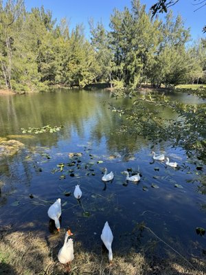 Amelia Earhart Park by null