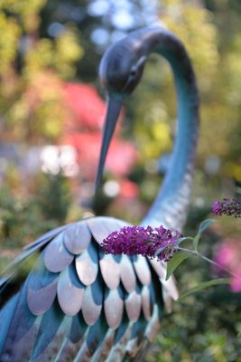 Browne's Home Center