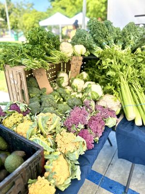Bixby Park Local Harvest Farmers Market by null