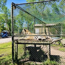 Catty Shack Ranch Wildlife Sanctuary - Catty Shack Ranch
