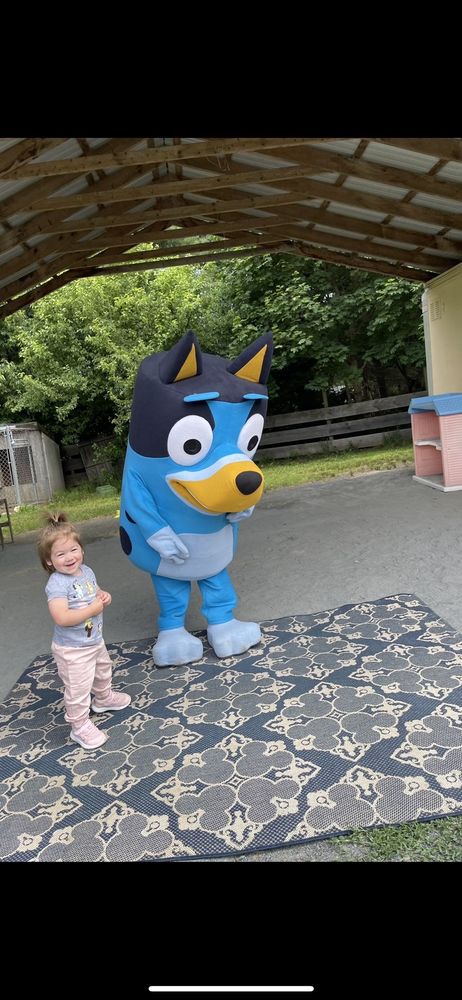 Pony Town Parties - equestrian in East Bridgewater, MA