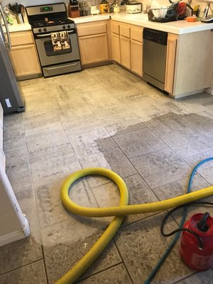 Bill Hopkins Carpet & Upholstery Care