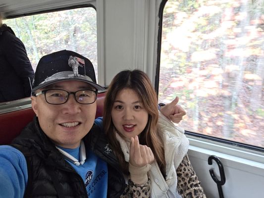 Blue Ridge Scenic Railway by null