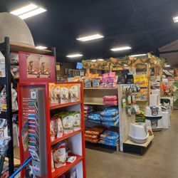 Robertsdale Seed, Feed & Supply - Inside