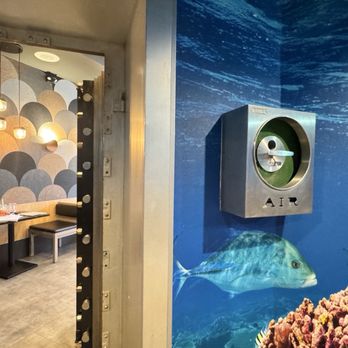 LemonShark Poke - Indoor dining room with underwater theme - Poke Near Me - Salt Lake City, Utah LemonShark Poke - Indoor dining room with underwater theme - Poke Near Me - Salt Lake City, Utah
