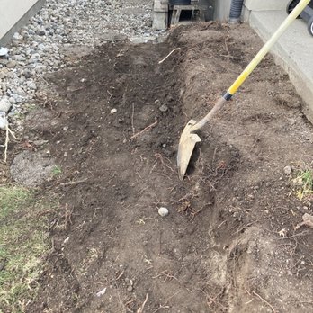 Gladiator Tree Services - FireSmart Recommendation: AFTER Cedar Shrub and Stump Removal - Tree Services Near Me Gladiator Tree Services - FireSmart Recommendation: AFTER Cedar Shrub and Stump Removal - Tree Services Near Me