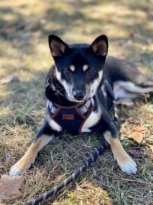 Roger Sherman Baldwin Park by null