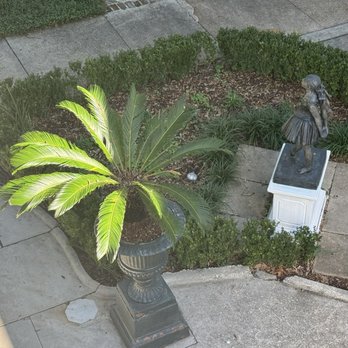Degas House - Tours Near Me - New Orleans, Louisiana Degas House - Tours Near Me - New Orleans, Louisiana