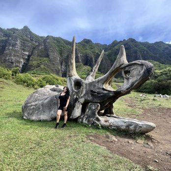 Kualoa Ranch - Tours Near Me - Kaneohe, Hawaii