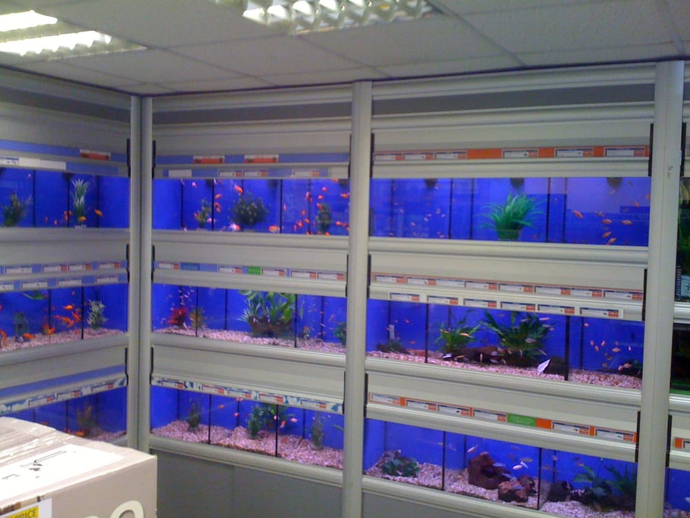 PETS AT HOME Updated July 2024 8 Darlington Retail Park, Darlington