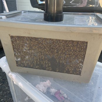 Bee’s Knees Apiaries - The haul! - Pest Control Near Me