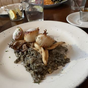 Maestro Restaurant - Scallops - Cocktail Bars Near Me - Pasadena, California