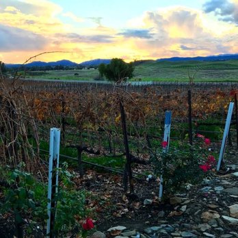 Doffo Wines - A glass of wine with this view!! - Wineries Near Me - Temecula, California Doffo Wines - A glass of wine with this view!! - Wineries Near Me - Temecula, California