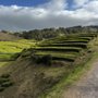 Gorreana Tea Factory