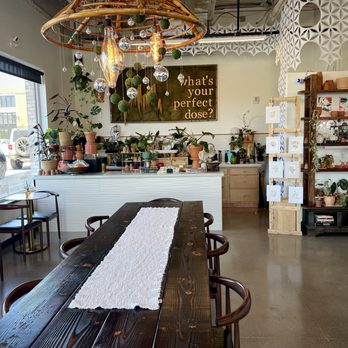 Dose Detroit - Coffee & Tea Near Me - Detroit, Michigan Dose Detroit - Coffee & Tea Near Me - Detroit, Michigan