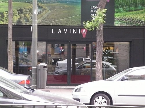 Lavinia Ortega y Gasset by null