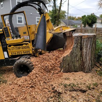 All City Stump Grinding - Grinding out a Very Large Stump!! - Tree Services Near Me - Columbus, Ohio All City Stump Grinding - Grinding out a Very Large Stump!! - Tree Services Near Me - Columbus, Ohio
