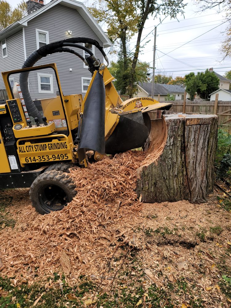 All City Stump Grinding - tree service in Columbus, OH