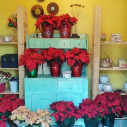 Palm Harbor Florist - Our shop set for the Holidays!