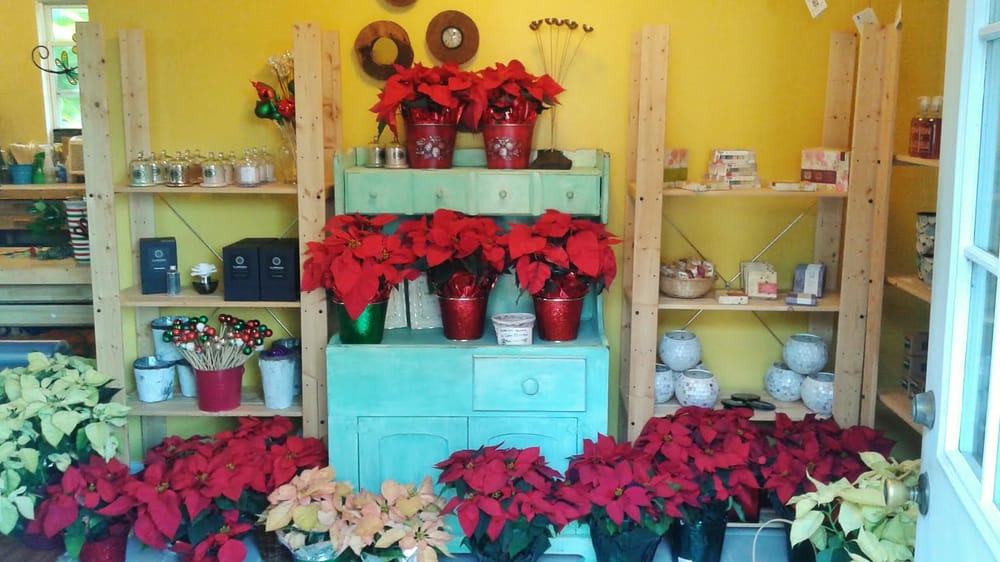 PALM HARBOR FLORIST Updated August 2024 1020 Illinois Ave, Palm