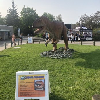 BuffaLoveFest - Festivals Near Me - Buffalo, New York
