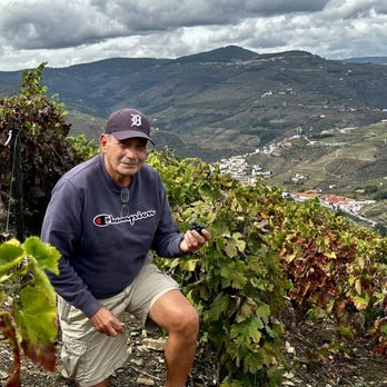 Quinta Das  Carvalhas - Wine Tasting Room Near Me - Vila Real, 17