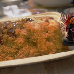 Curry Katsu Approved by Tobi!