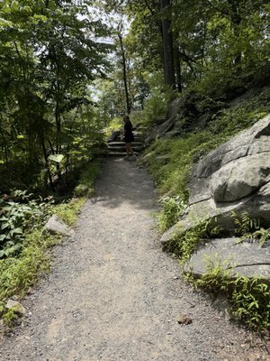 Bear Mountain by null