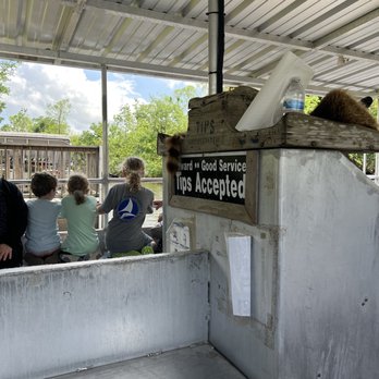 Cajun Pride Swamp Tours - Boat - Tours Near Me - La Place, Louisiana