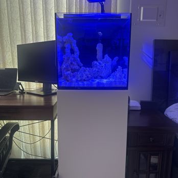 Aquawerks - Aquarium Services Near Me Aquawerks - Aquarium Services Near Me