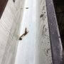 Photo of Magic Squegee Window Cleaning