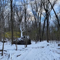 Dinosaur Hill Nature Preserve - Hiking trail through Dinosaur Hill